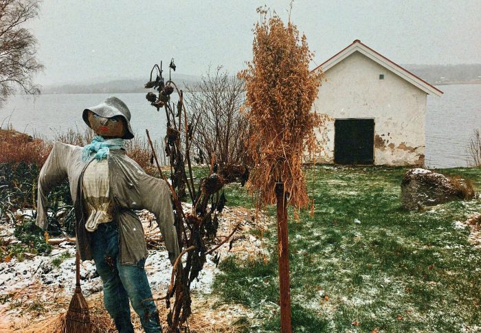 Beteenden kopplade till hav och land.