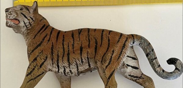 Tigerjakt, konstnärshem och vernissage