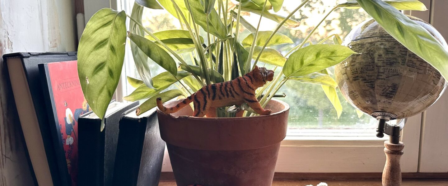 Det ryms en tigerforskare i mig