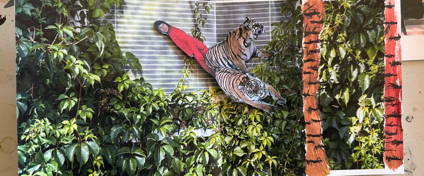 Tigerjakt